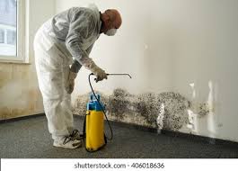 Best Environmental Consulting for Mold Prevention  in Rialto, CA